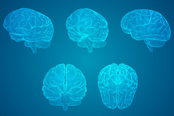 幼儿教师远程培训心得