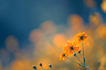 生活实用小知识