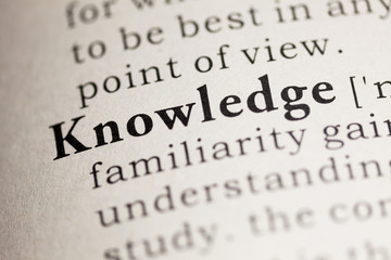 园艺：月季花的介绍