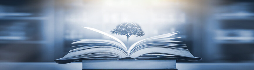 现代机构怎么样