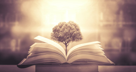 “默默守护”是什么花的花语？