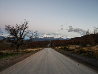 萤火虫有什么本领-