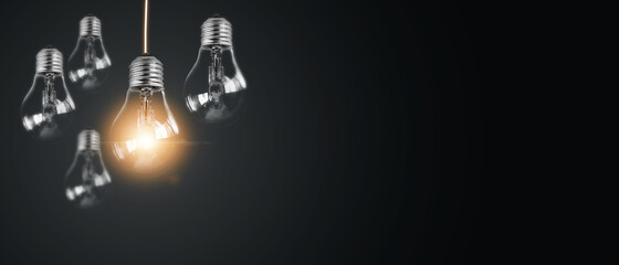 鹿科(鹿科动物)详细资料大全