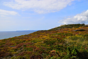 海月兰水光针什么档次