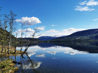 儿科护理新技术新项目介绍怎么写