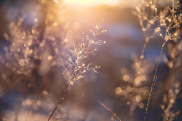 绘本创作类型有哪些