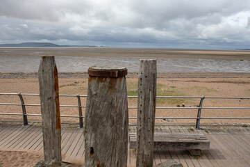 科学家故事最经典10个