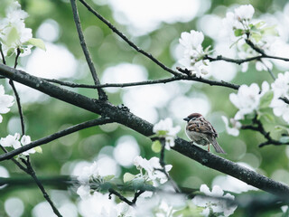 划拳怎么算输赢？