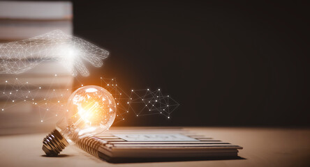 《提灯笼的小飞虫》阅读答案