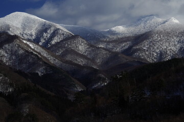 最常见的十种细菌