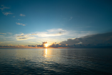 早茶最美一句话