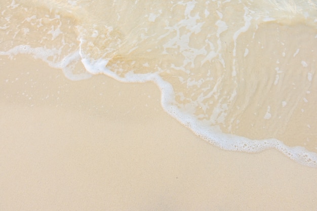 最常见的十种细菌