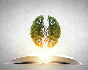 基于新闻采访有哪些特征