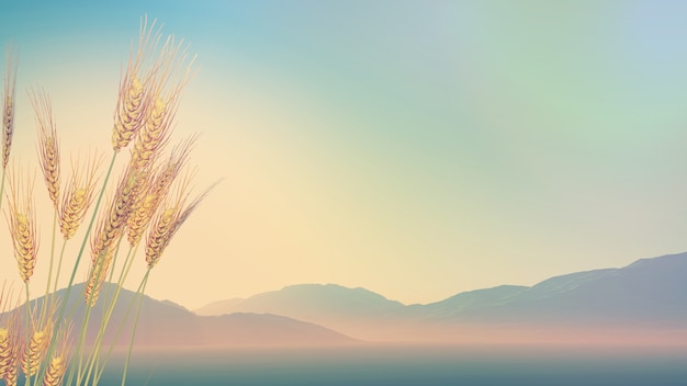 环卫口号简短霸气