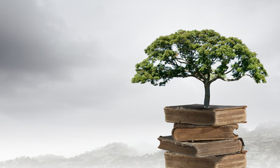 最常见的十种细菌