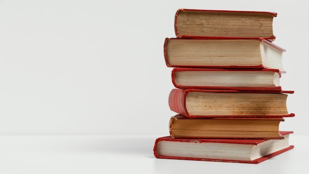 什么蔬菜好种植好养活