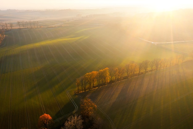 数学文化是什么