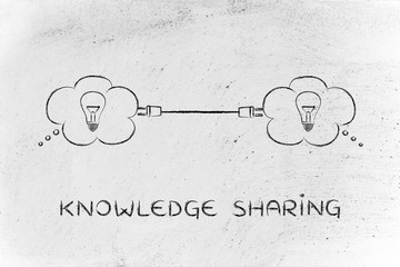 酸蚂蚁可以卖钱吗