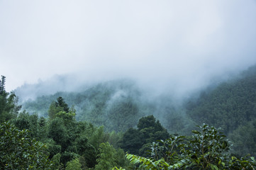 初中7至9年级文言文大全